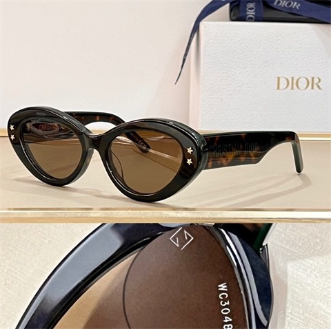 dior sunglass-118